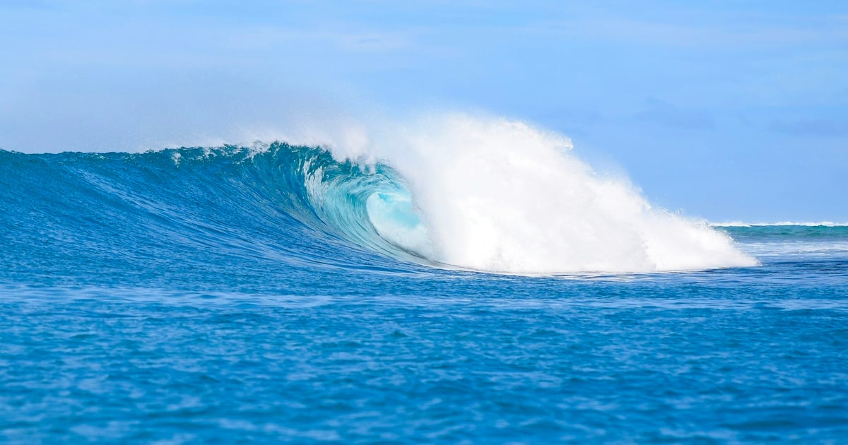 A large blue wave curling and breaking into white spray