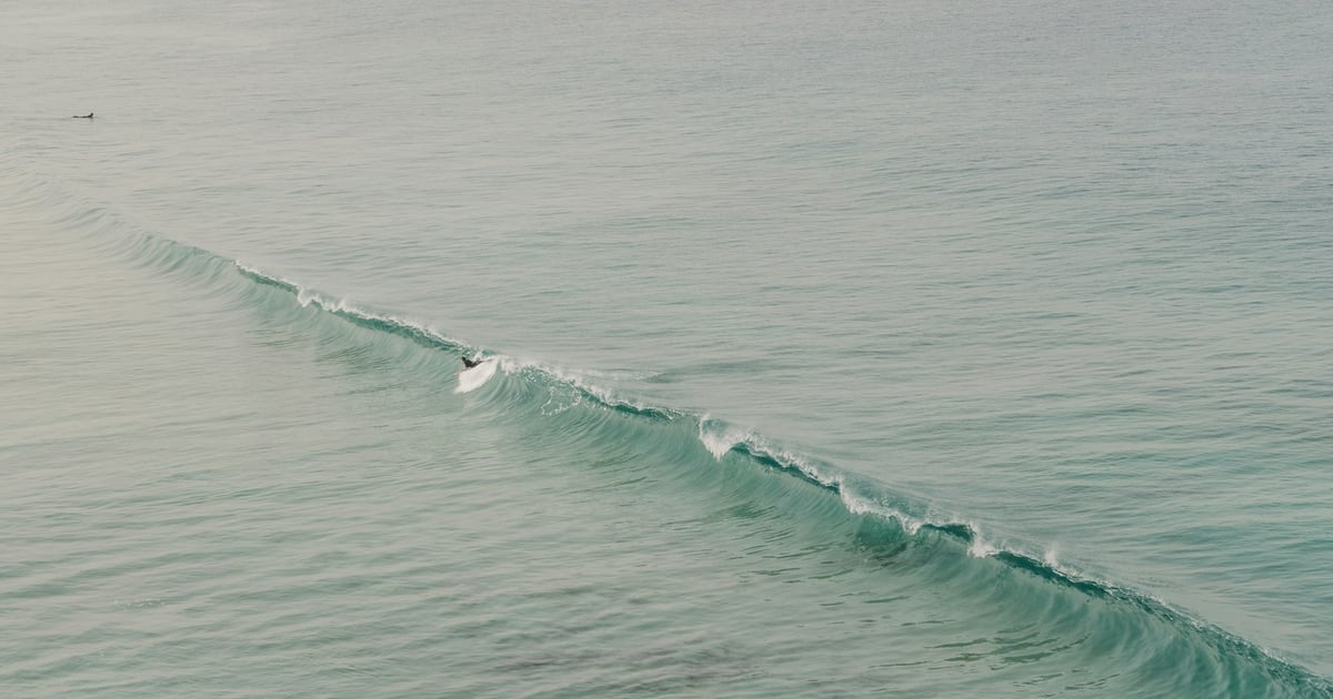 A single long, low wave rolling evenly across a calm grey-green sea